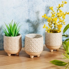 Japandi Mini Planters   Set of 3