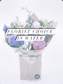 Florist Choice in Water