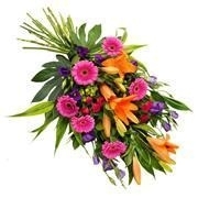 Vibrant Tied Sheaf