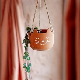 Cats Whiskers Terracotta Hanging Planter